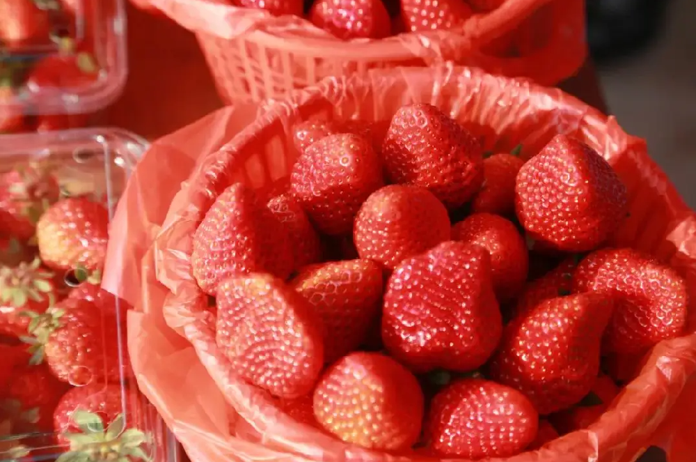 农药残留检测仪检测草莓是否含有药残